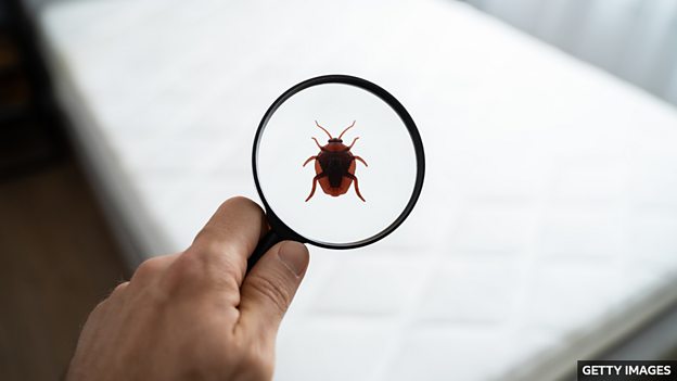 Hotels in France turn to tech as bedbug outbreaks rise